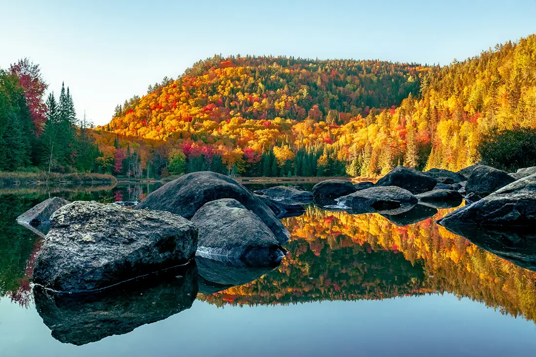 Weekly Newsletter: The Changing of the Seasons